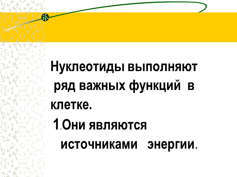 Нуклеотиды выполняют            